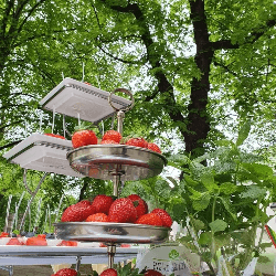 UAB "Namų dvasia" organisation logo