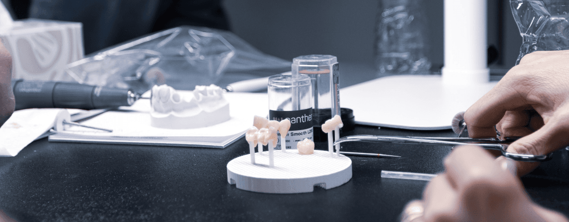 Techdentika organisation picture