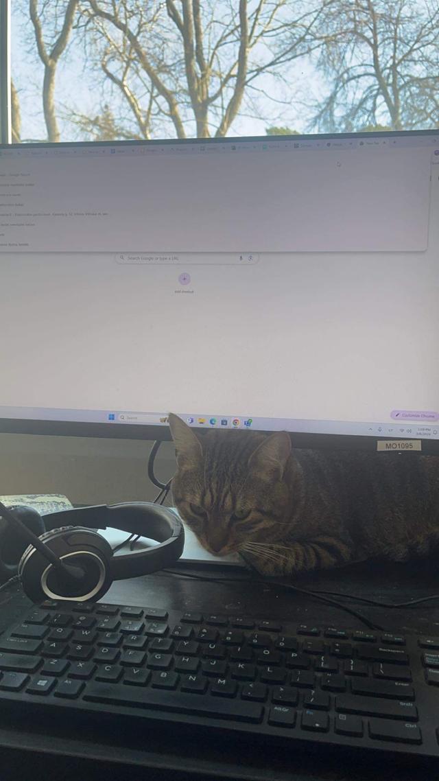 UAB "Planas chuliganas" gallery picture 1