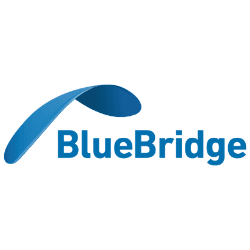 Blue Bridge grupė organisation logo