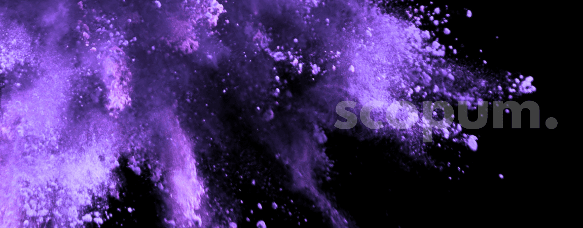 Scopum organisation picture