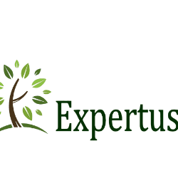 UAB "Expertus LT" organisation logo